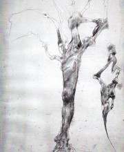 Albero in gamba, 1996